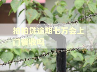 拍拍贷逾期七万会上门催收吗