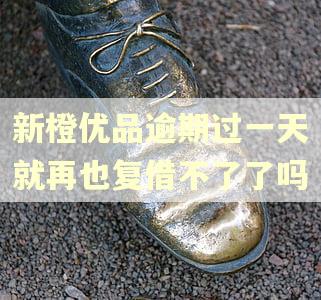 新橙优品逾期过一天就再也复借不了了吗