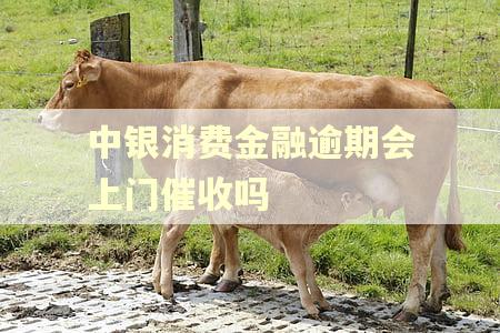 中银消费金融逾期会上门催收吗 中银消费金融逾期会上门催收吗