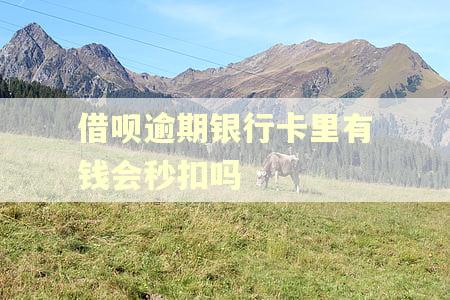 借呗逾期银行卡里有钱会秒扣吗