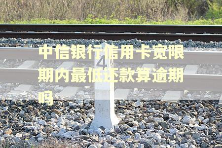 中信银行信用卡宽限期内最低还款算逾期吗