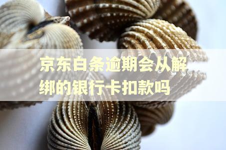 京东白条逾期会从解绑的银行卡扣款吗 京东白条逾期会从解绑的银行卡扣款吗