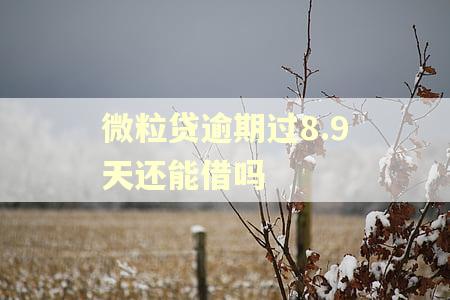 微粒贷逾期过8.9天还能借吗