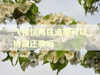 飞猪信用住逾期可以协商还款吗