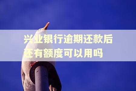 兴业银行逾期还款后还有额度可以用吗