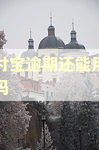支付宝逾期还能用淘宝吗
