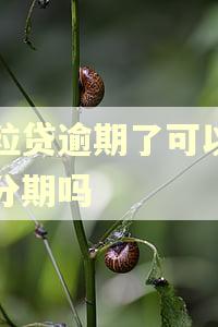 微粒贷逾期了可以申请分期吗