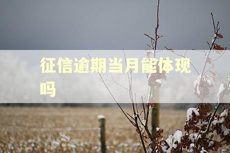 征信逾期当月能体现吗 征信逾期当月能体现吗