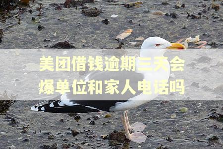美团借钱逾期三天会爆单位和家人电话吗