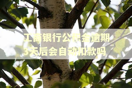 工商银行公积金逾期3天后会自动扣款吗