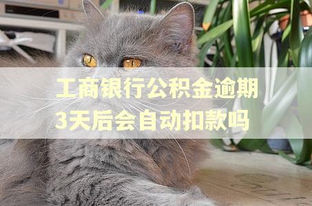 工商银行公积金逾期3天后会自动扣款吗 工商银行公积金逾期3天后会自动扣款吗