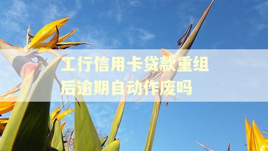 工行信用卡贷款重组后逾期自动作废吗 工行信用卡贷款重组后逾期自动作废吗