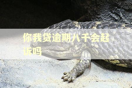 你我贷逾期八千会起诉吗
