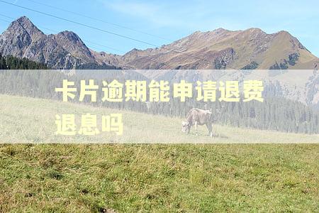 卡片逾期能申请退费退息吗