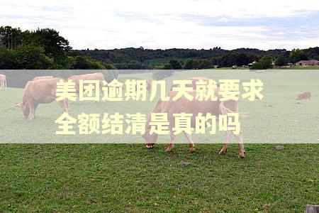 美团逾期几天就要求全额结清是真的吗