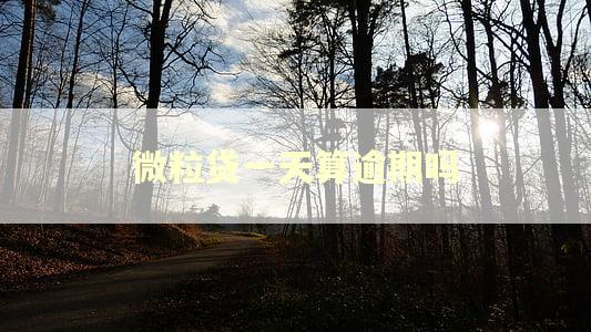 微粒贷一天算逾期吗 微粒贷一天算逾期吗