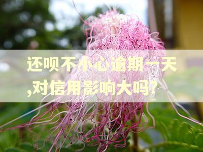 还呗不小心逾期一天,对信用影响大吗?