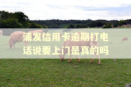 浦发信用卡逾期打电话说要上门是真的吗