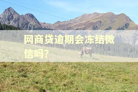 网商贷逾期会冻结微信吗？