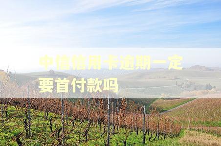 中信信用卡逾期一定要首付款吗