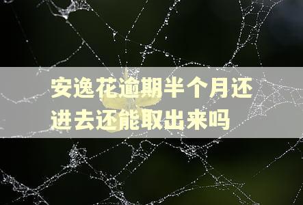 安逸花逾期半个月还进去还能取出来吗