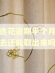 安逸花逾期半个月还进去还能取出来吗