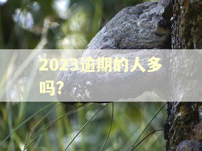 2023逾期的人多吗?