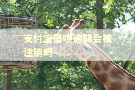 支付宝借呗逾期会被注销吗