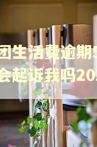 美团生活费逾期5天了会起诉我吗2023