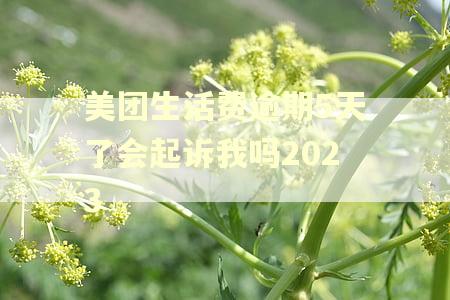 美团生活费逾期5天了会起诉我吗2023 美团生活费逾期5天了会起诉我吗2023