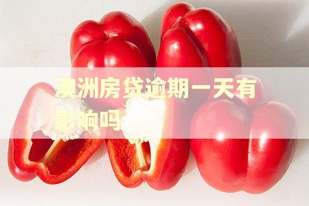 澳洲房贷逾期一天有影响吗