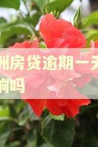 澳洲房贷逾期一天有影响吗 澳洲房贷逾期一天有影响吗
