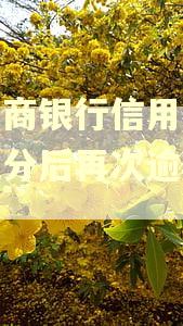 有工商银行信用卡个性化分后再次逾期的吗