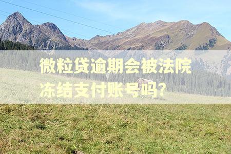 微粒贷逾期会被法院冻结支付账号吗?