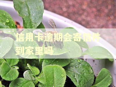 信用卡逾期会寄信件到家里吗