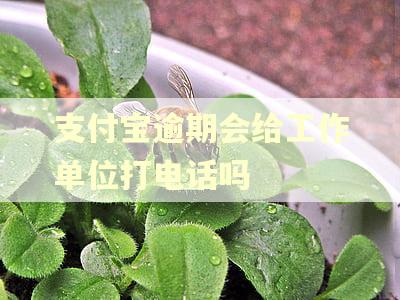 支付宝逾期会给工作单位打电话吗