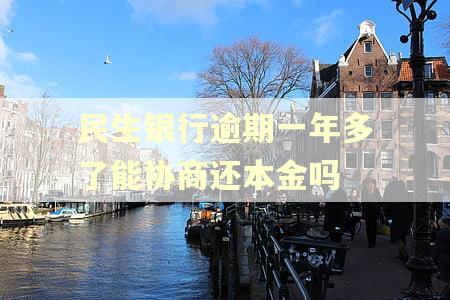 民生银行逾期一年多了能协商还本金吗