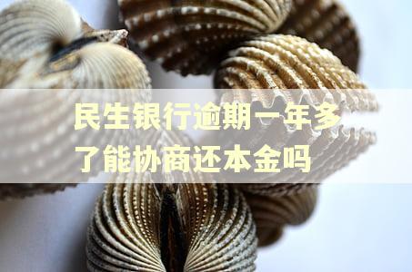 民生银行逾期一年多了能协商还本金吗
