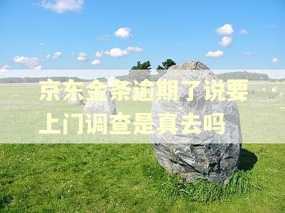 京东金条逾期了说要上门调查是真去吗