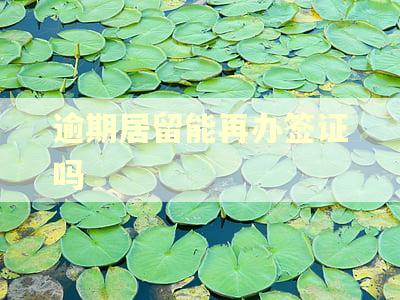 逾期居留能再办签证吗