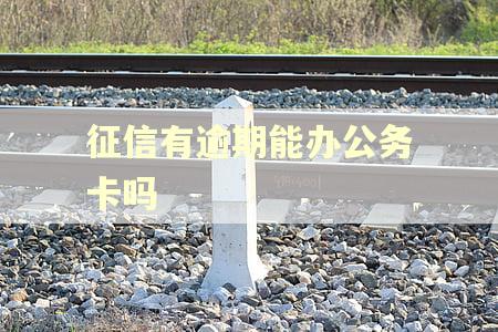 征信有逾期能办公务卡吗