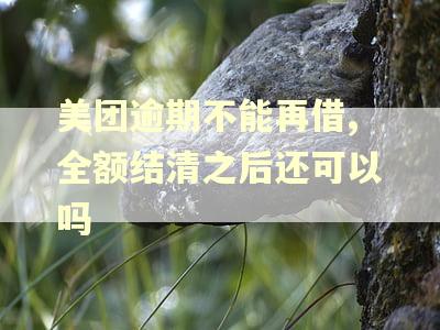美团逾期不能再借,全额结清之后还可以吗
