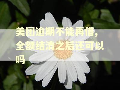 美团逾期不能再借,全额结清之后还可以吗