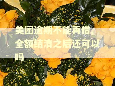 美团逾期不能再借,全额结清之后还可以吗 美团逾期不能再借,全额结清之后还可以吗