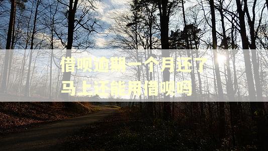 借呗逾期一个月还了马上还能用借呗吗