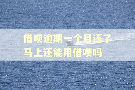 借呗逾期一个月还了马上还能用借呗吗 借呗逾期一个月还了马上还能用借呗吗