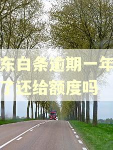 京东白条逾期一年还清了还给额度吗 京东白条逾期一年还清了还给额度吗