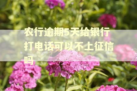 农行逾期5天给银行打电话可以不上征信吗