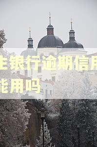 民生银行逾期信用卡还能用吗