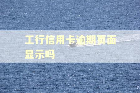 工行信用卡逾期页面显示吗